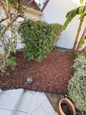 création paysagère